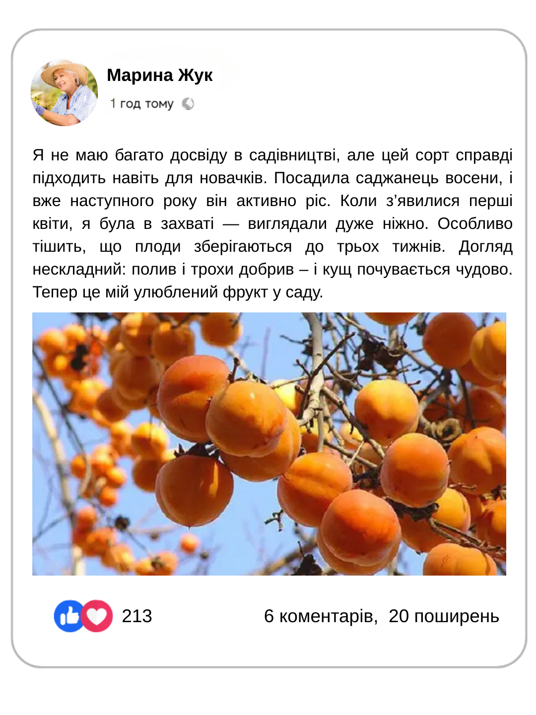 Заголовок