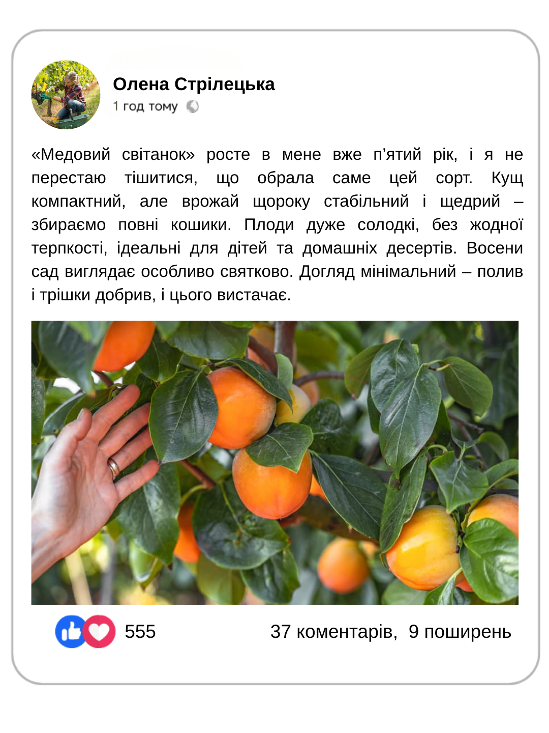 Заголовок