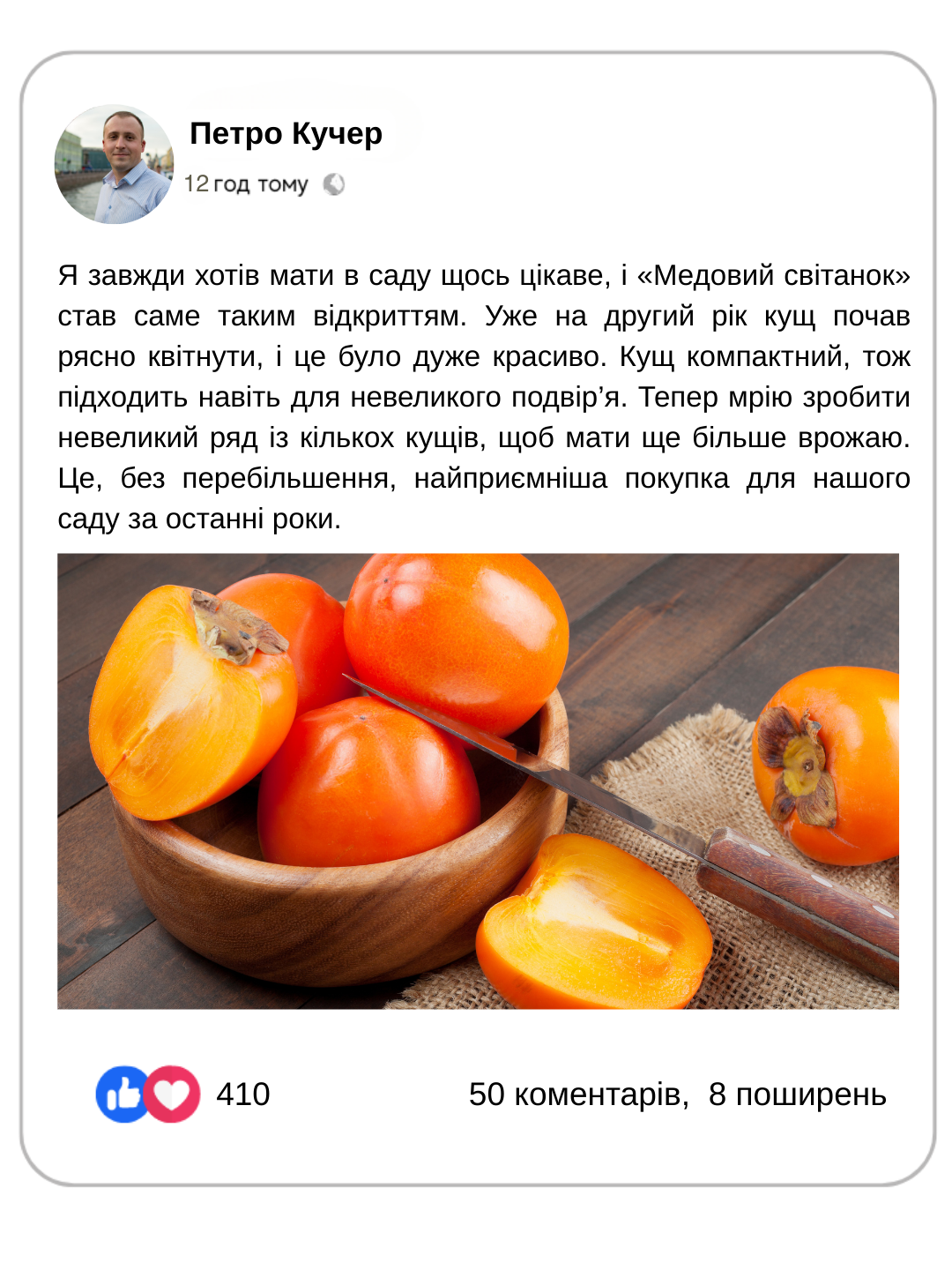 Заголовок